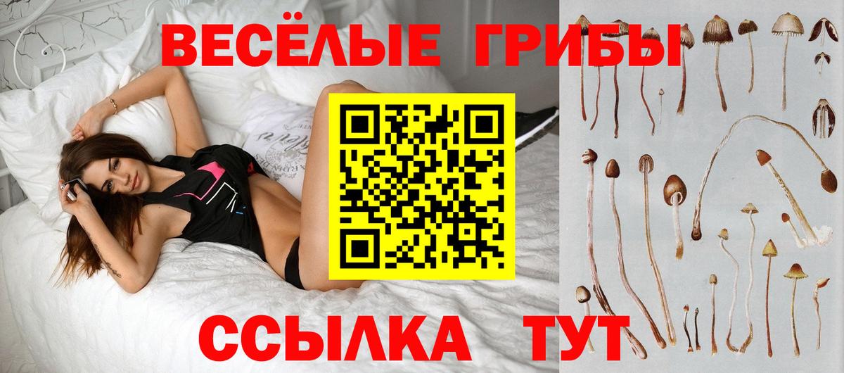 Псилоцибиновые грибы Psilocybe Белогорск